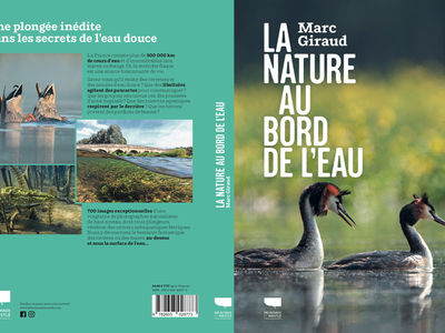 La nature au bord de l'eau